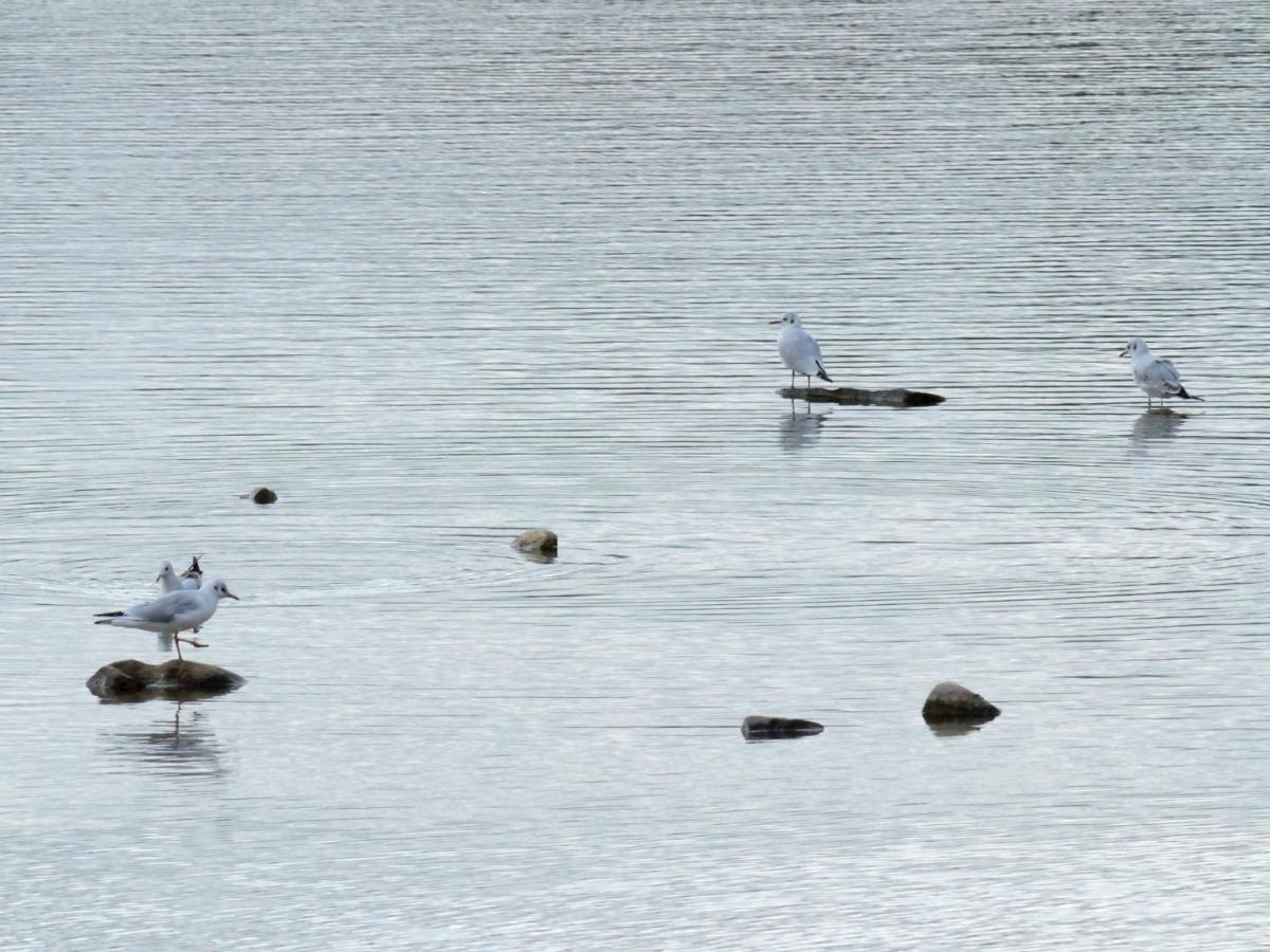 La Ravine Au Bord Du Loing