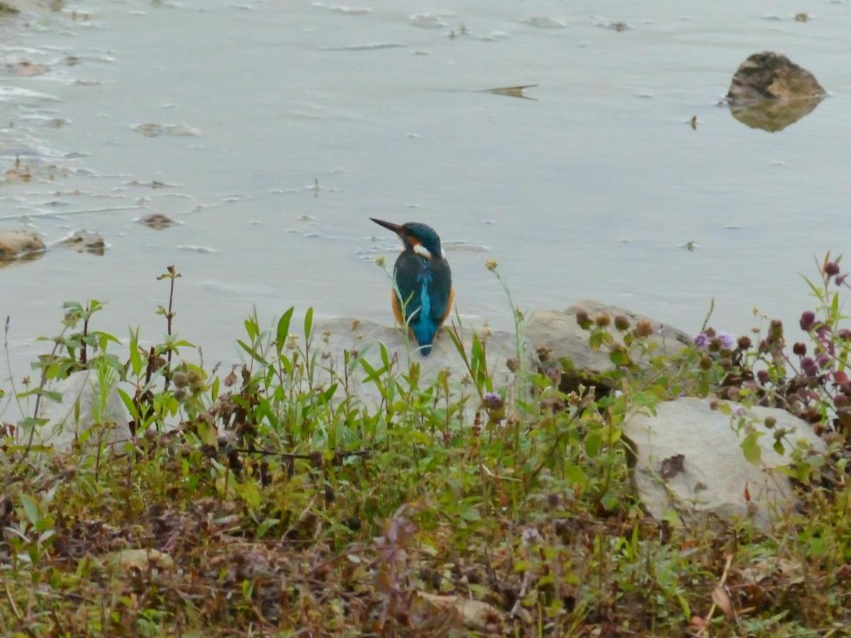 La Ravine Au Bord Du Loing Villa